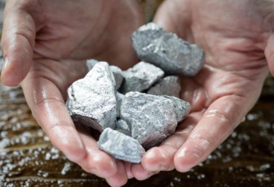 В Турции обсуждают перспективы использования ториевых реакторов в атомной энергетике