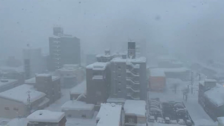 В Японии из-за рекордных снегопадов погибли как минимум 18 человек