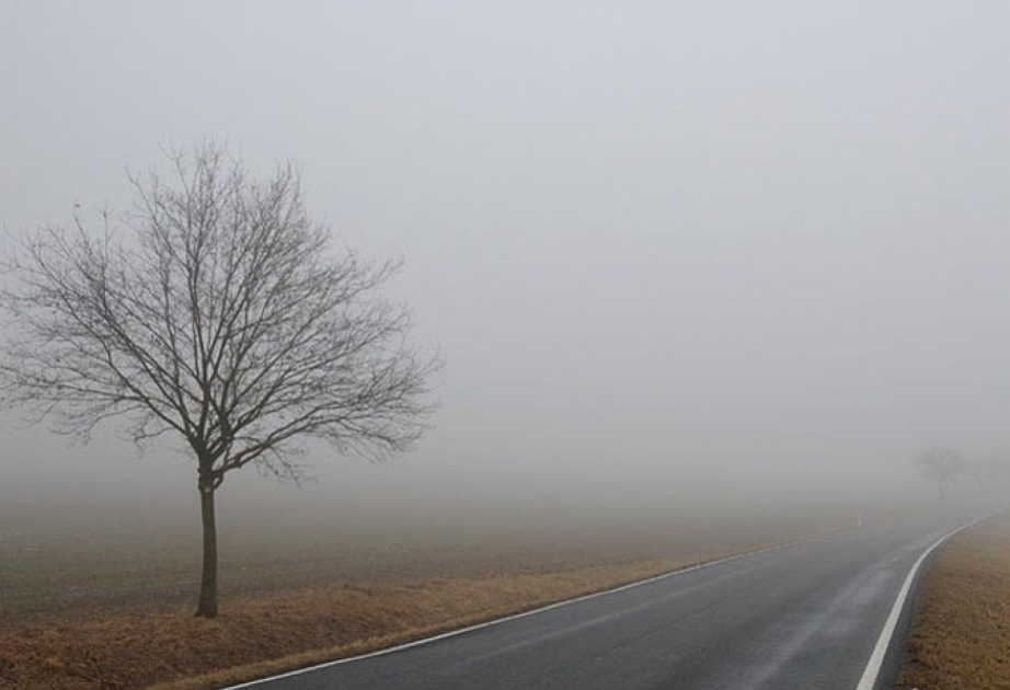 Во вторник местами ожидается туман и порывистый ветер