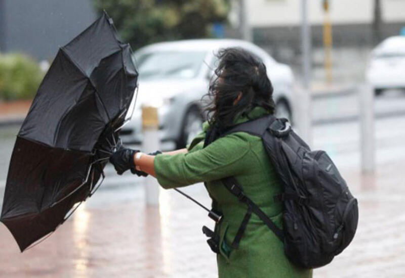 Объявлены желтое и оранжевое предупреждения в связи с ветреной погодой