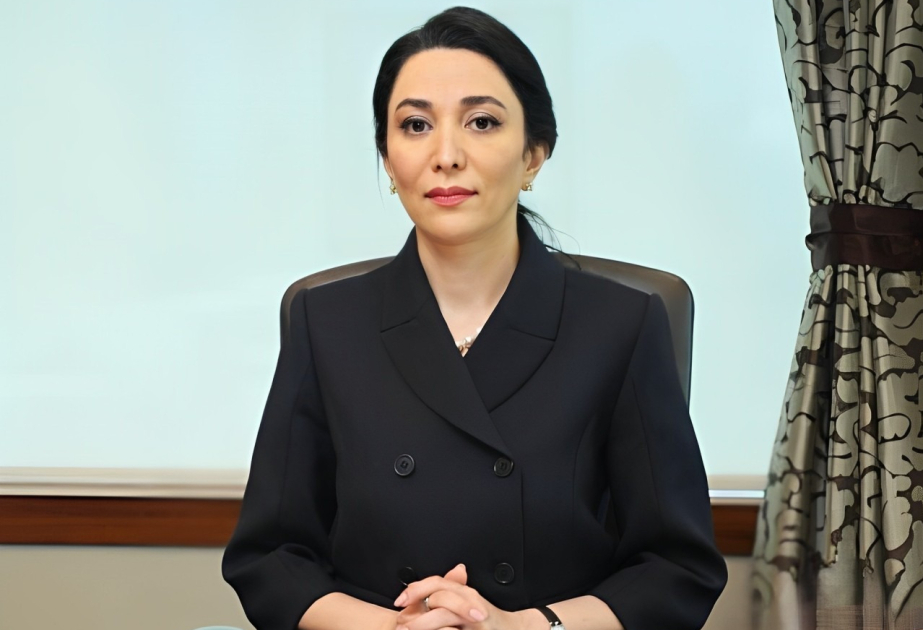 Омбудсмен: Активность молодежи играет важную роль в формировании справедливого и сильного гражданского общества