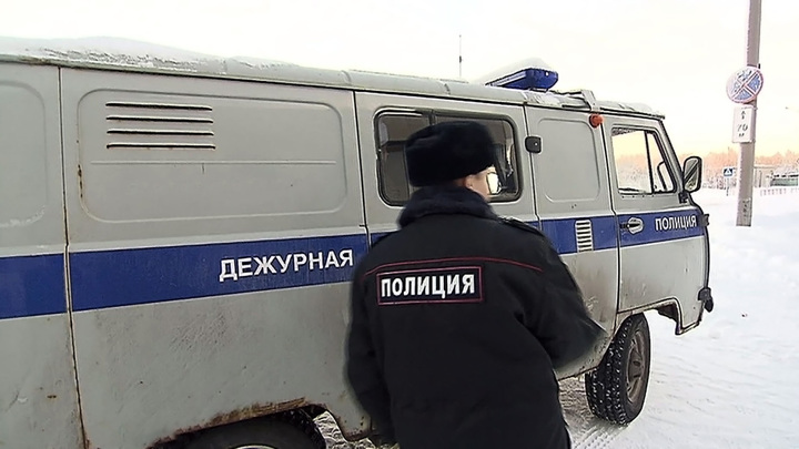 Под Ярославлем обокрали дом писательницы Татьяны Устиновой