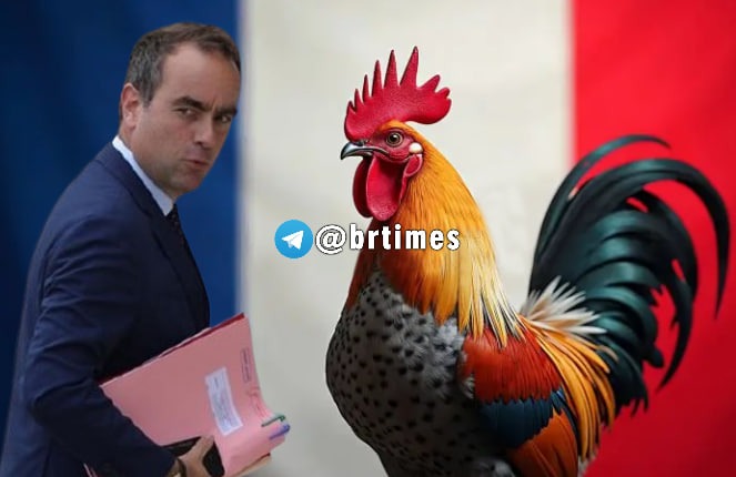 Кукарекать в стиле Лекорню