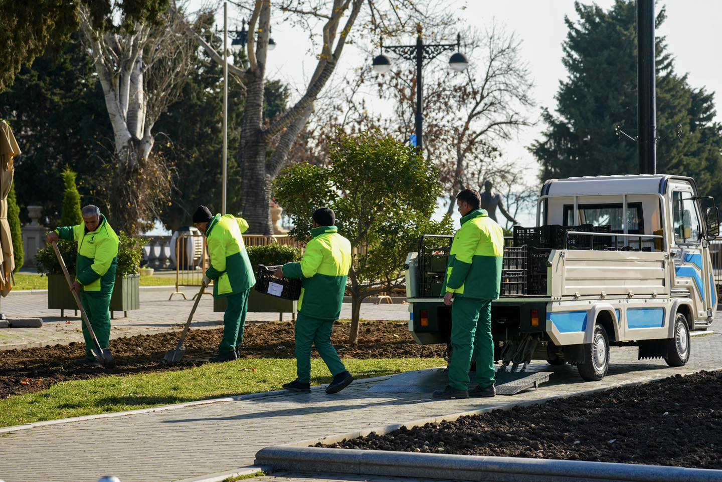 Баку расцветет в марте: на бульваре высадят 80 000 тюльпанов