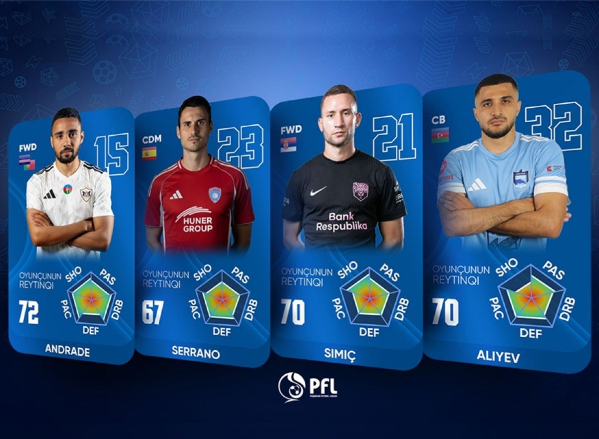 Пилотный проект 