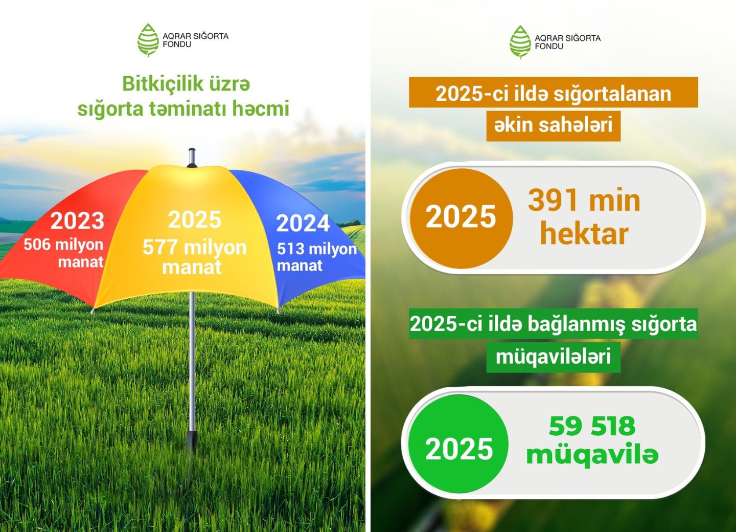 Востребованное страхование