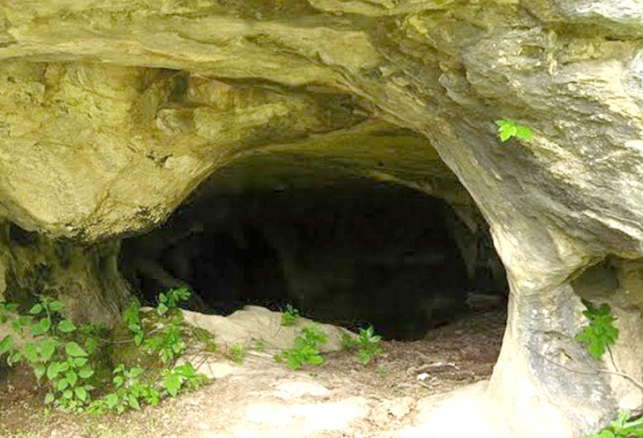 В Азербайджане обнаружены останки древнего человека: анализ проводится в Японии