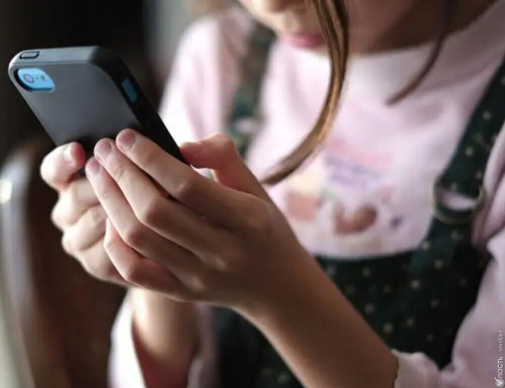 Премьер Чехии поддержал идею ограничения доступа детей к соцсетям