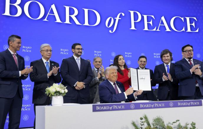 Евродепутат Картайзер: Совет мира не сможет стать альтернативой ООН