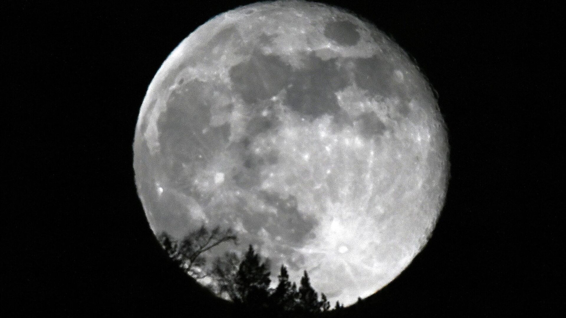 Маск высказался о масштабном возвращении на Луну