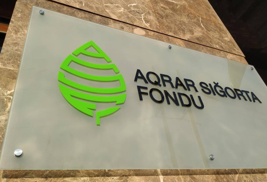 Расширяется сфера услуг