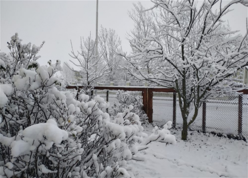 В Азербайджане скорость ветра достигла 25 м/с, а высота снежного покрова &mdash; 37 см