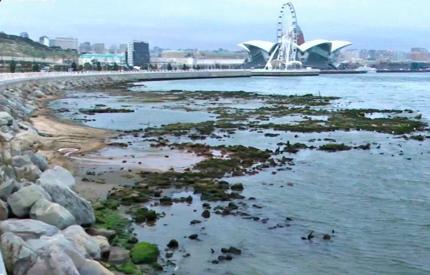 Серьезный фактор риска