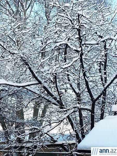 Ситуация под контролем