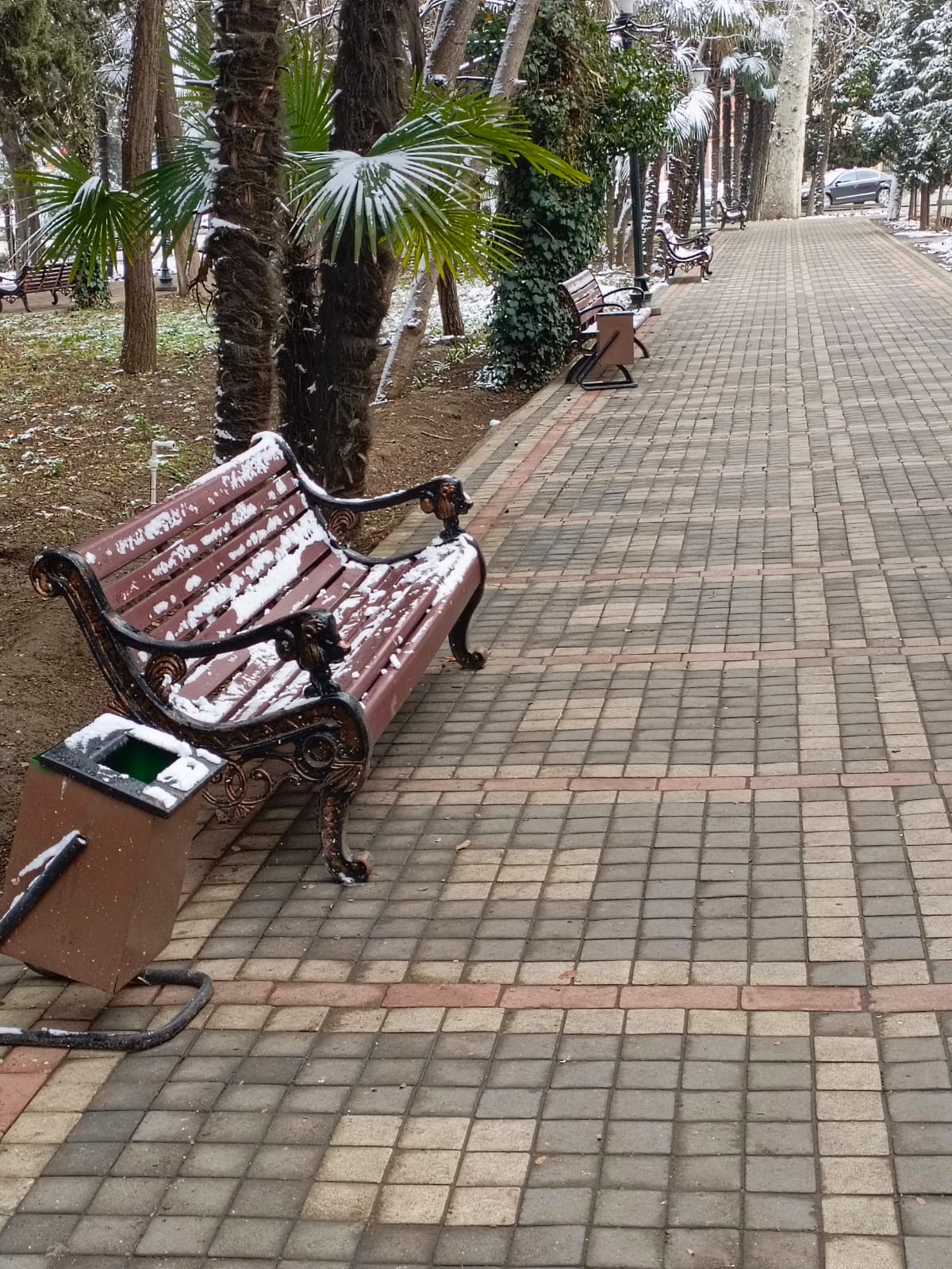 Штраф есть, а урн нет,