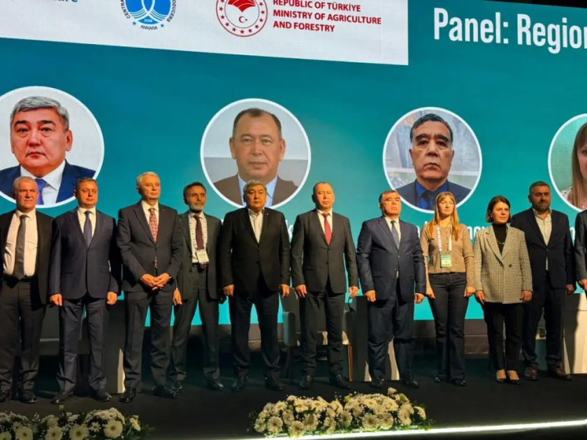 Производители аквакультуры из Азербайджана приняли участие в семинаре ФАО в Анталье