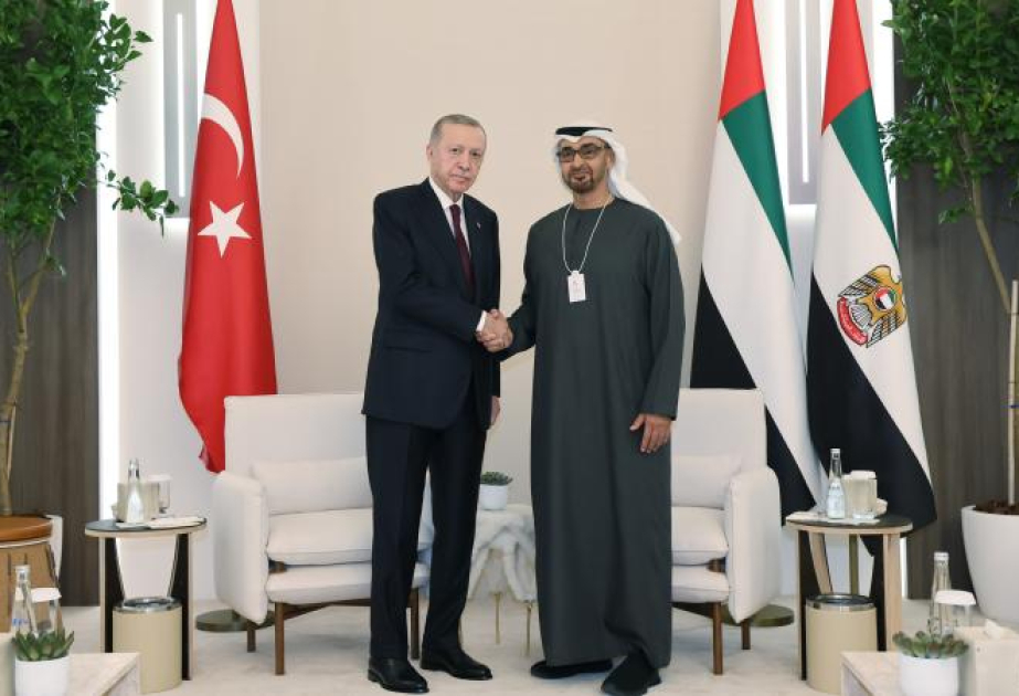 Лидеры Турции и ОАЭ обсудят ситуацию в Палестине, Сирии, Йемене и Сомали