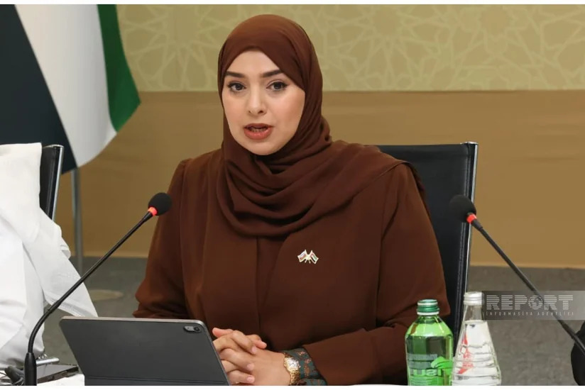 Министр ОАЭ: Отношения с Азербайджаном основаны на общем видении развития