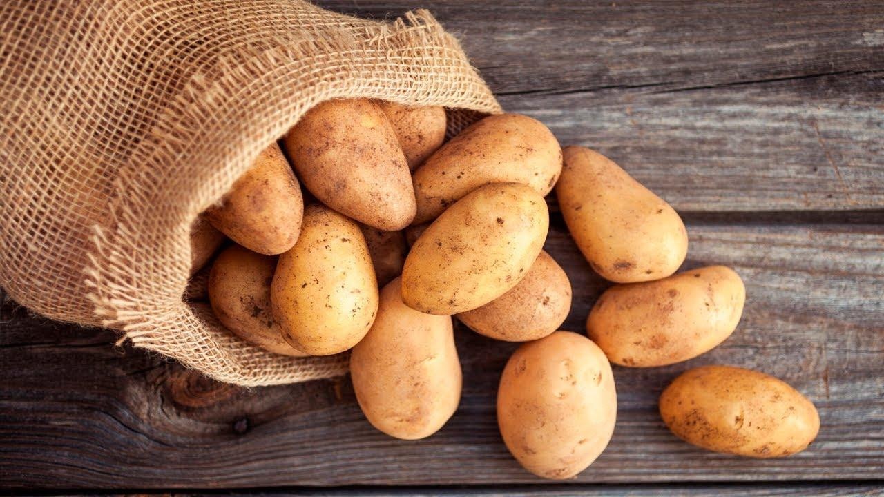 Вырос экспорт картофеля