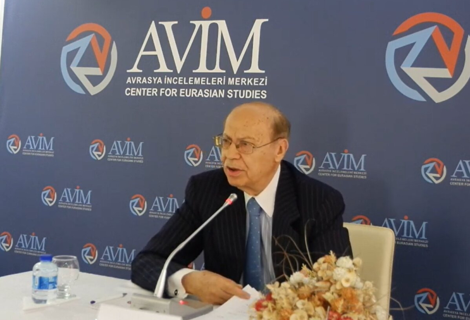 Турецкий дипломат: Декларация о независимости Армении противоречит условиям международных договоров