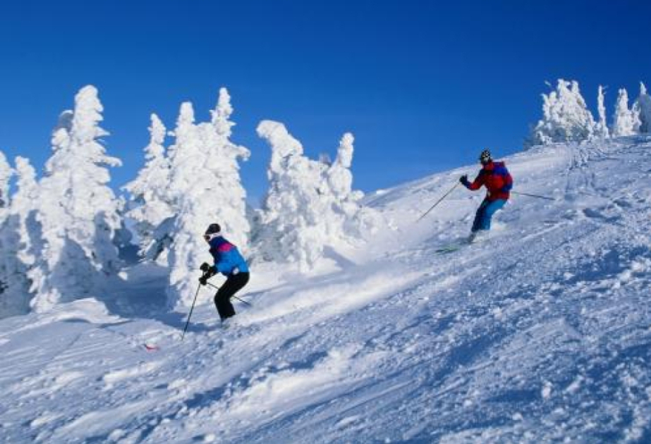 Последний представитель Азербайджана вступает в борьбу на Зимних Олимпийских играх