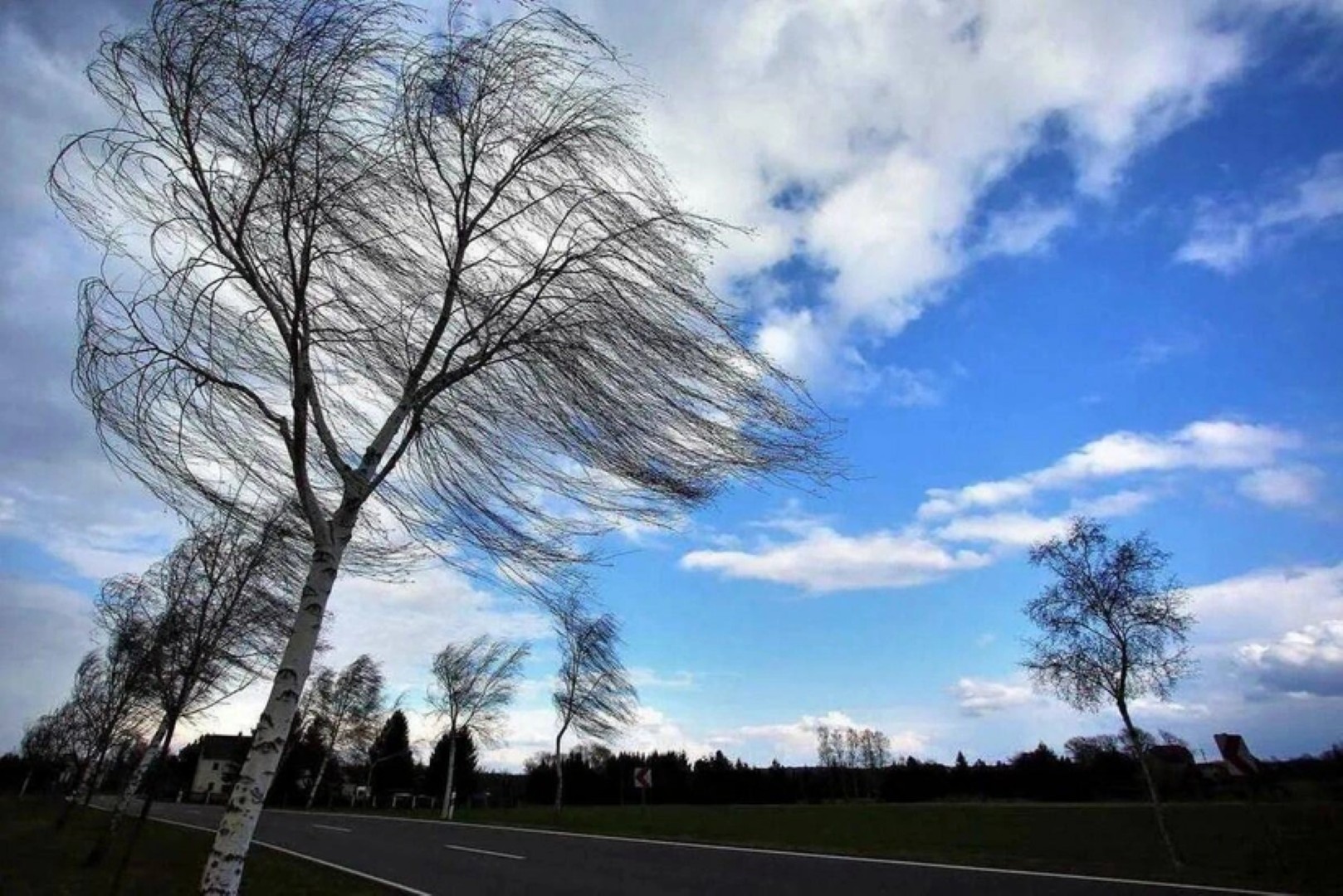 МЧС Азербайджана обратилось к гражданам в связи с ухудшением погодных условий
