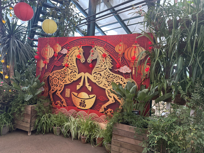 Красная огненная лошадь символ обновления и перемен к лучшему в китайской традиции