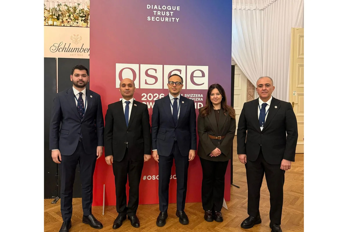 ТЮРКПА направит документы для получения статуса наблюдателя в ПА ОБСЕ