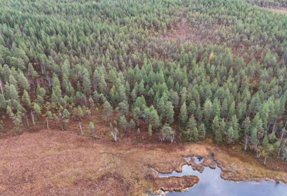 В Финляндии внедряют природный метод защиты водоемов