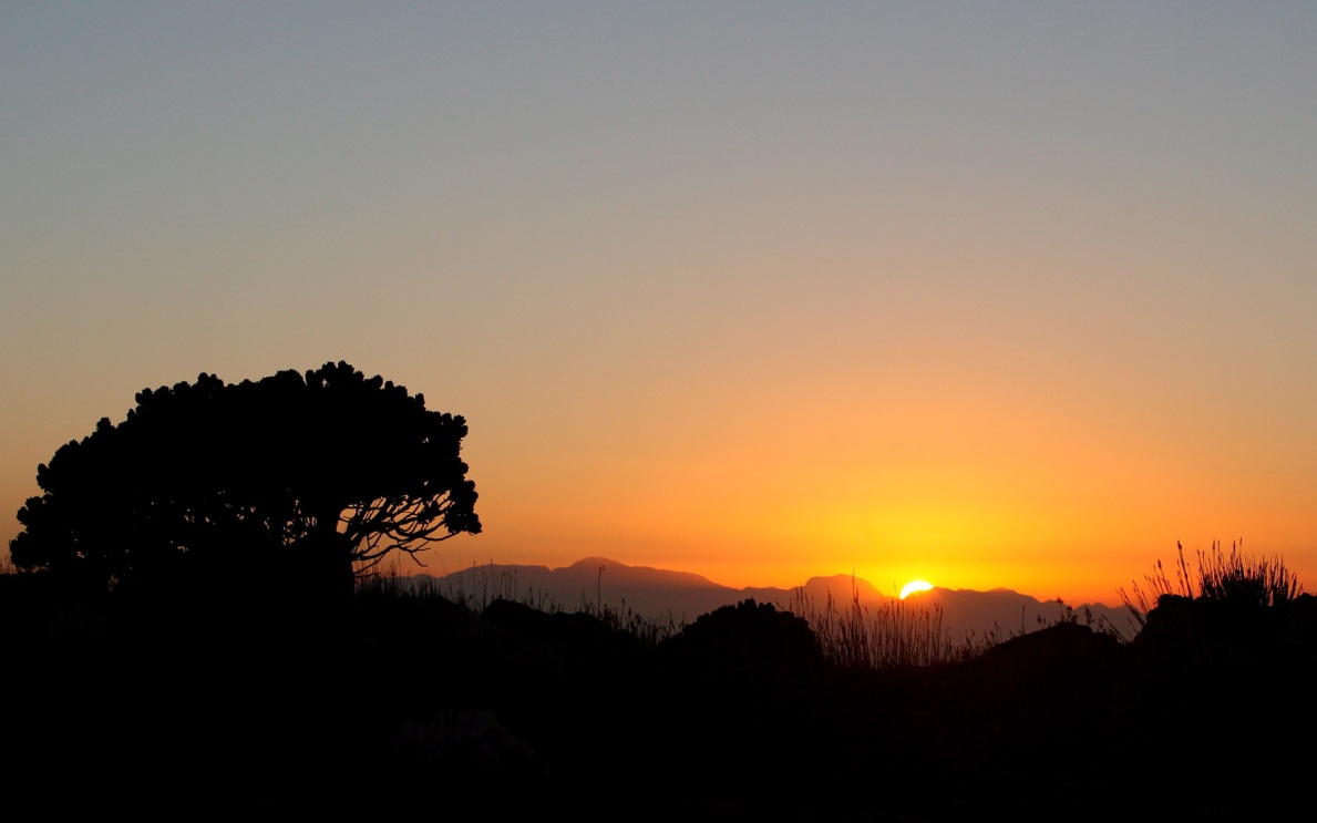 Африка может обогнать Азию по темпам экономического роста в 2026 году