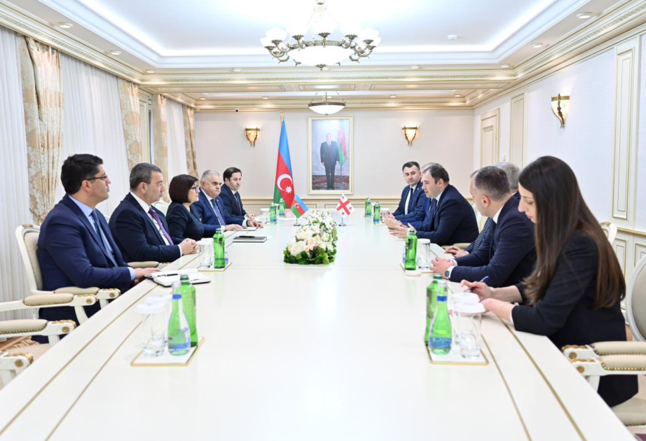 Обсуждены азербайджано-грузинские межпарламентские отношения