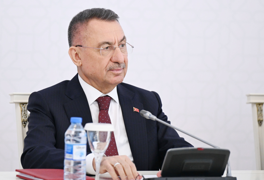 Фуат Октай: Наши отношения все более углубляются и расширяются