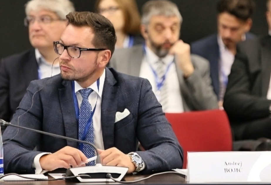 Сотрудничество Азербайджана и Сербии в энергетике является моделью win-win - Мнение из Белграда