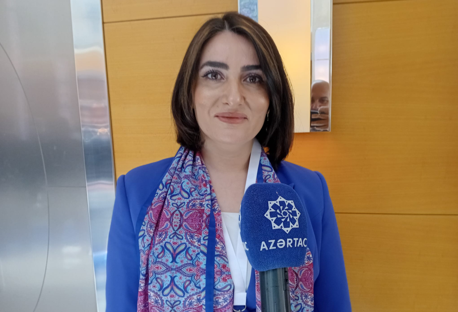 Турецкий профессор: Кровавые события в Xоджалы не могут быть забыты