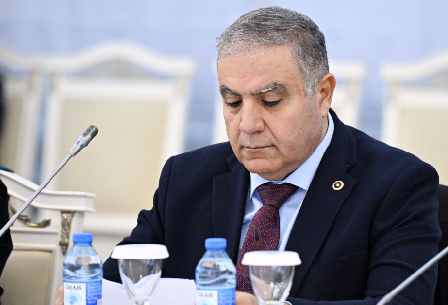 Мехмет Гюзельмансур: Турецко-азербайджанские отношения показывают всему миру пример истинного братства