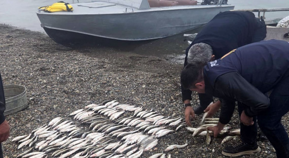 Рыбалка вне закона