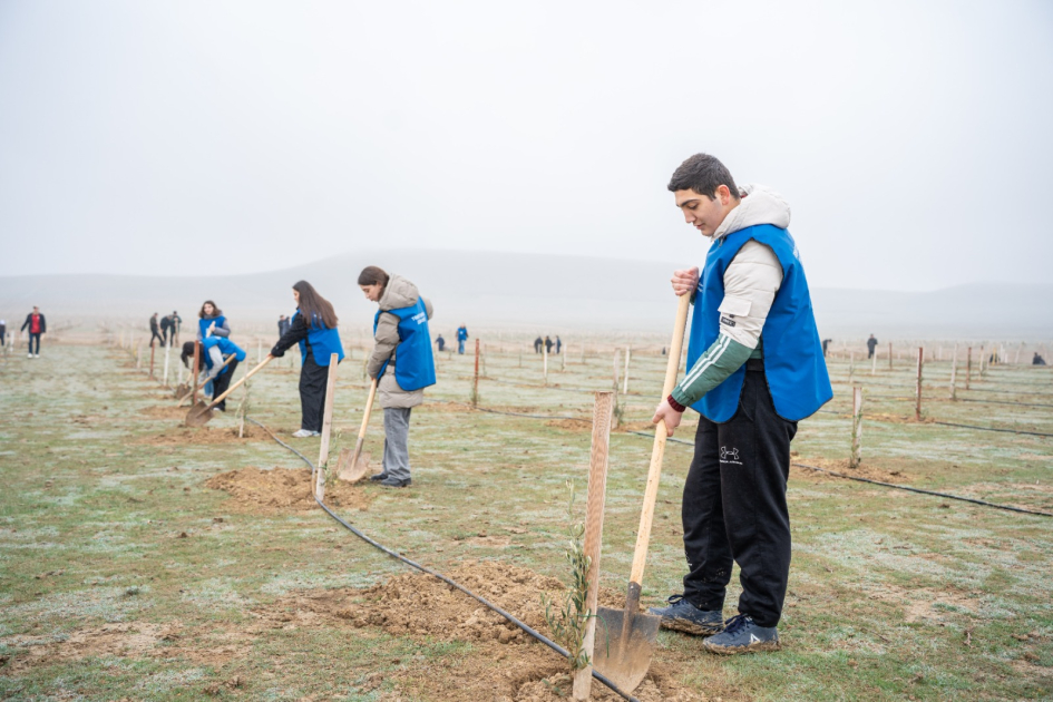 Акция по посадке деревьев, приуроченная к памяти жертв Ходжалинского геноцида