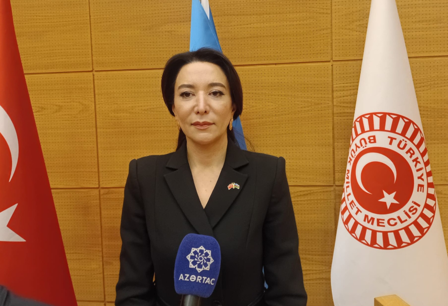 Омбудсмен: Почтение в Анкаре жертв геноцида в Xоджалы - показатель общности исторической памяти Азербайджана и Турции