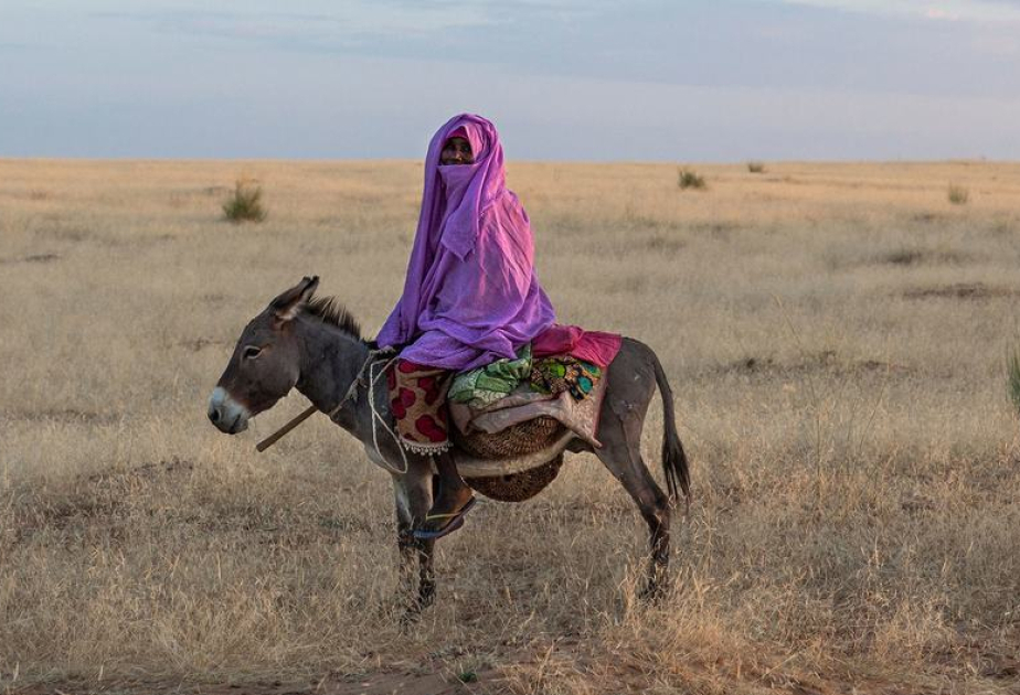 ООН: Более миллиарда человек могут потерять землю и жилье в ближайшие пять лет