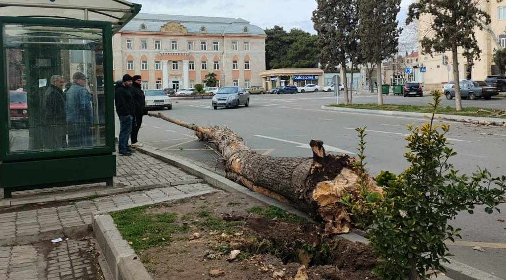 На Гянджу обрушилась стихия