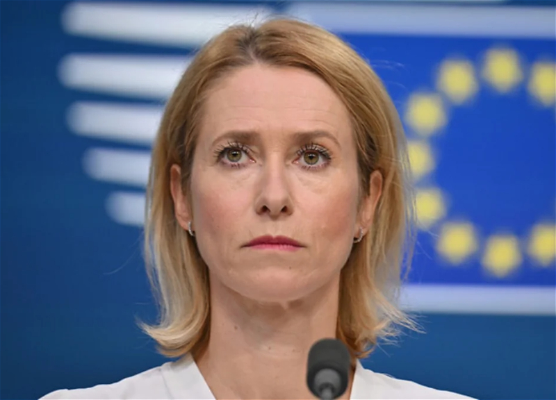 Главы МИД ЕС проведут 1 марта онлайн-заседание по Ирану