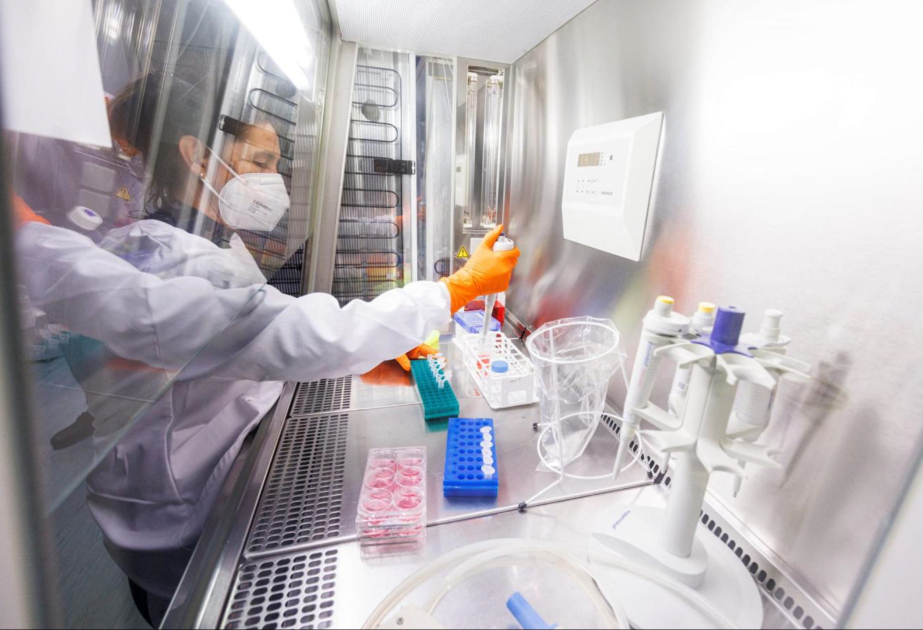 ИИ и синтетическая биология могут усилить биологические угрозы