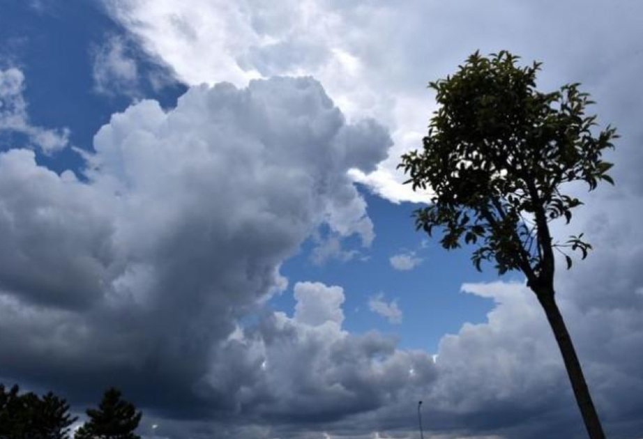 Прогноз погоды на понедельник