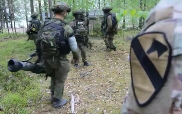 Мема: власти Финляндии при вступлении в НАТО не учли волю народа