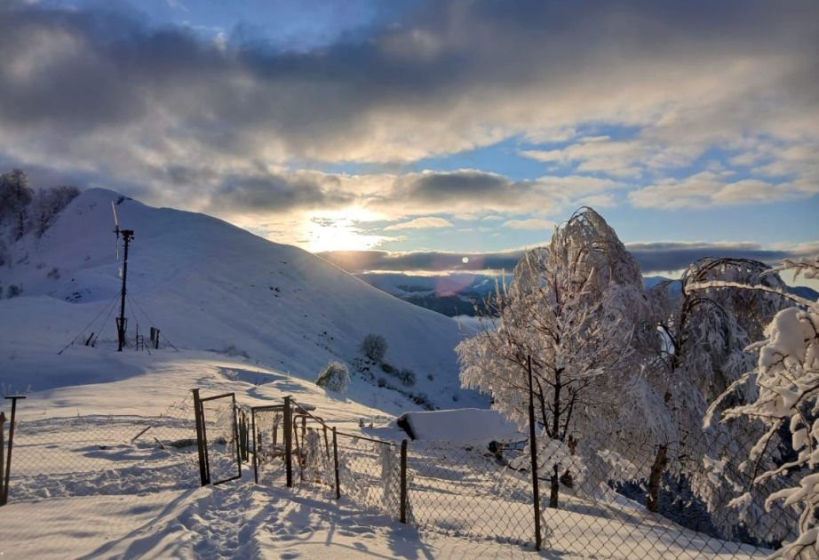 Погода в регионах: снег и туман