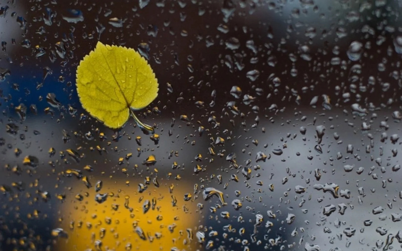 Завтра в Азербайджане ожидаются осадки