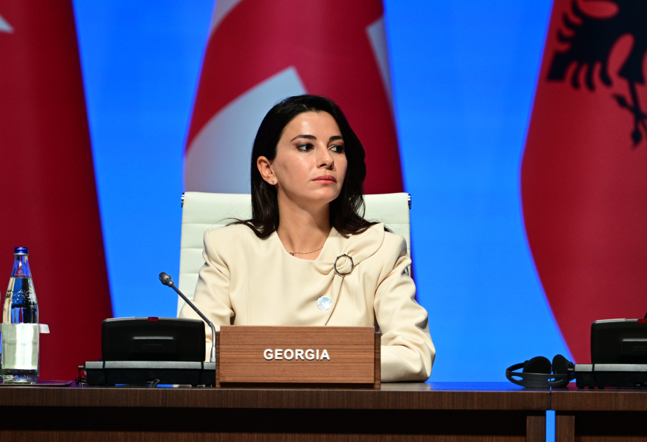 Грузинский министр о ЮГК: Вместе мы можем достигнуть многого