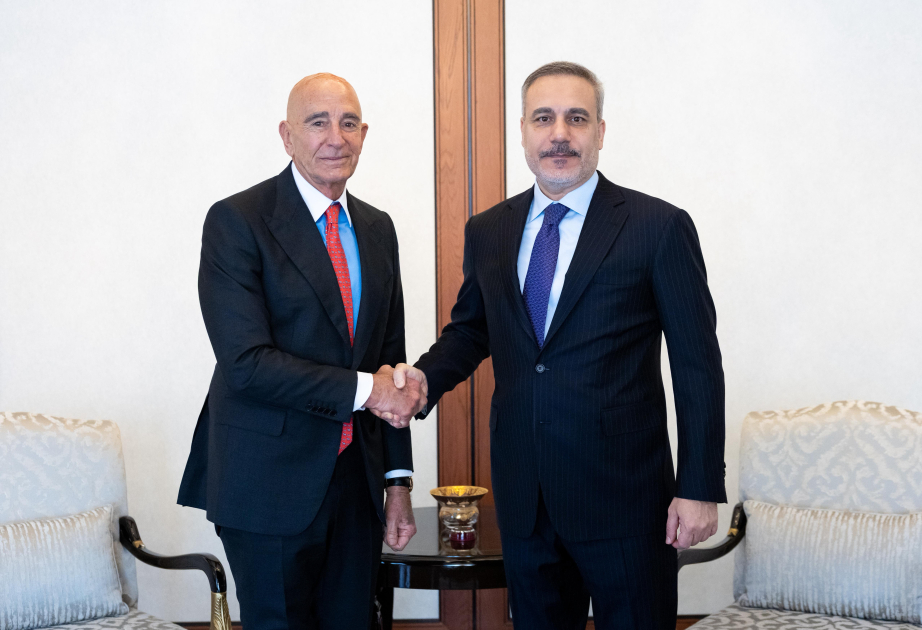 Глава МИД Турции принял посла США в Анкаре