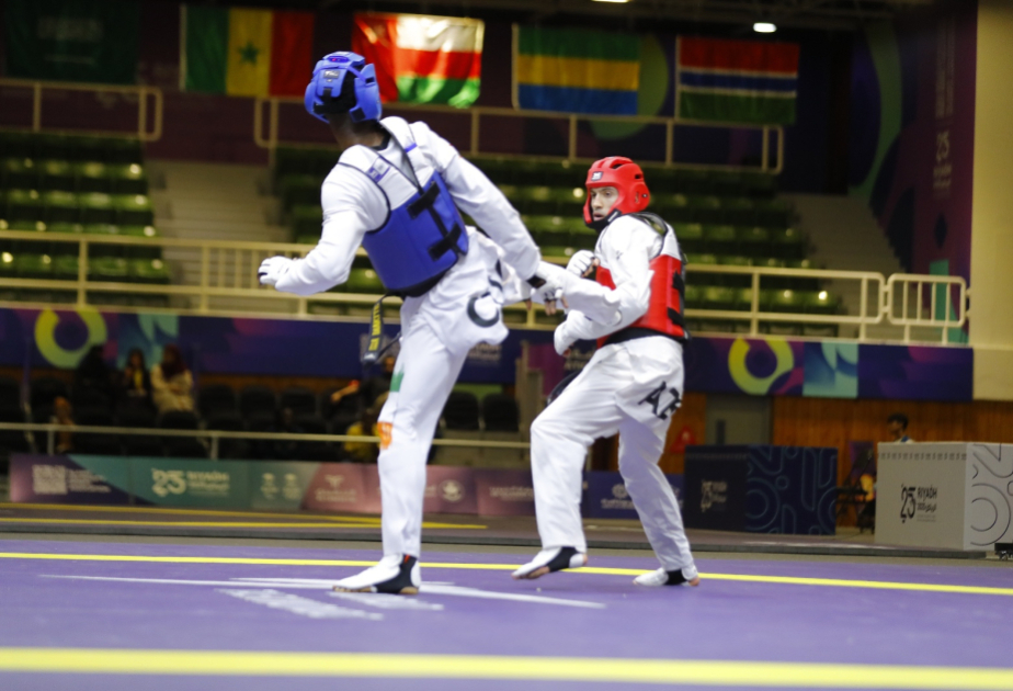 В Азербайджане около 3 тысяч спортсменов занимаются таэквондо