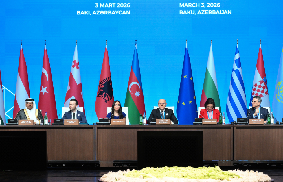 Лейла Алиева выступила на сессии &laquo;Проекты зеленой энергетики&raquo;